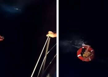 VIDEO Žena pala s kruzera, pronašli je nakon 20 sati u moru