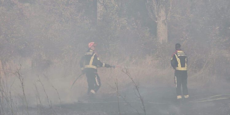 Veliki požar u Imotskom: Na terenu 60 vatrogasaca, stigla i dva Canadaira