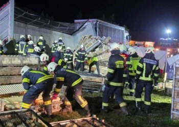 Vozač iz BiH kamionom sletio s ceste u Austriji, više od 60 vatrogasaca spašavalo kokoši