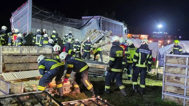 Vozač iz BiH kamionom sletio s ceste u Austriji, više od 60 vatrogasaca spašavalo kokoši